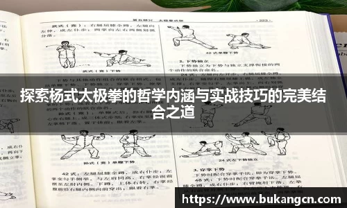 探索杨式太极拳的哲学内涵与实战技巧的完美结合之道